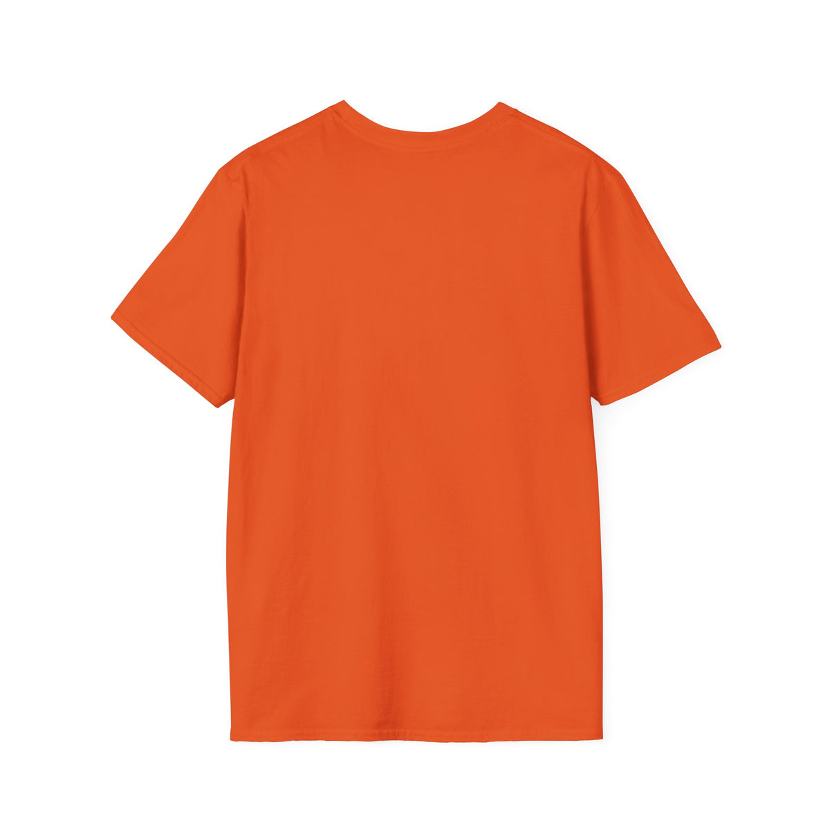 Professionally Developed? Pastel Graphic T‑Shirt — Funny Developer Tech Tee