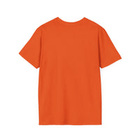 Professionally Developed? Pastel Graphic T‑Shirt — Funny Developer Tech Tee