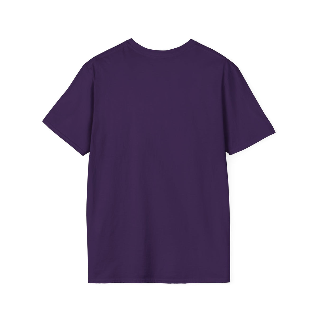Professionally Developed? Pastel Graphic T‑Shirt — Funny Developer Tech Tee
